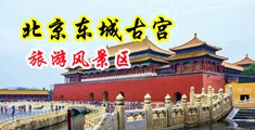 黑人肉棍插中国女孩视频中国北京-东城古宫旅游风景区